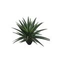 Maquina 31 in. Gladiolus Potted Tree MA3003468